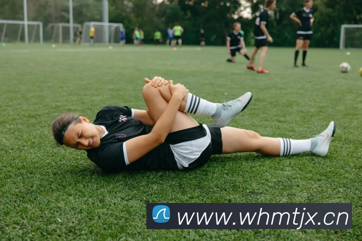 kaiyun官方平台平台生态图